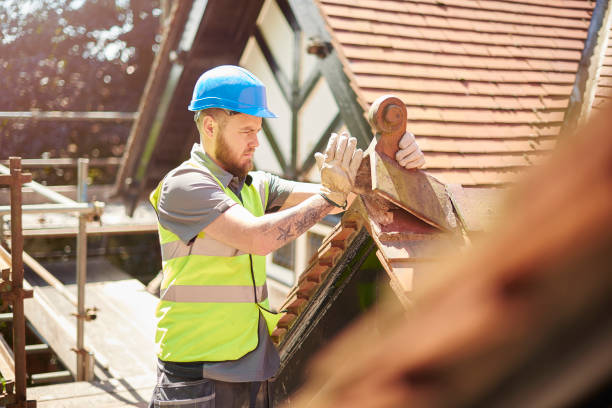 Best Metal Roofing Contractor  in The Galena Territory, IL